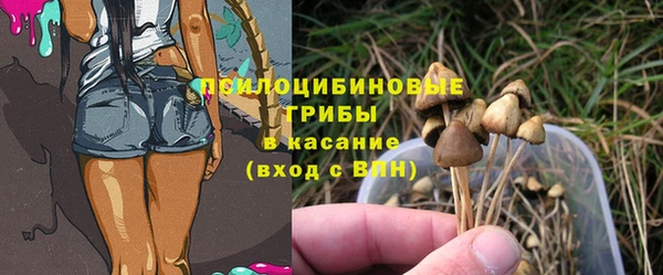 кристаллы Снежногорск