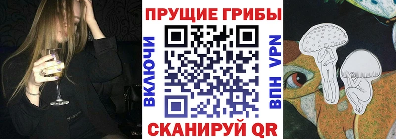 Купить  Ряжск  Псилоцибиновые грибы Cubensis 